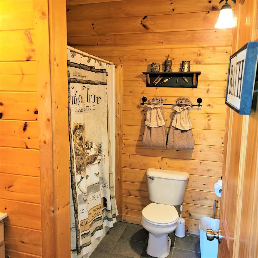 Skinny Dippin'-River Front- Free Tickets-Dog Friendly-Sleeps 6 Pigeon Forge Exterior photo