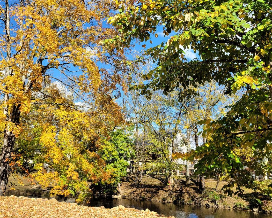 Skinny Dippin'-River Front- Free Tickets-Dog Friendly-Sleeps 6 Pigeon Forge Exterior photo